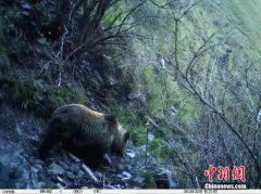 联合国《生物多样性公约》秘书处代理执行秘书