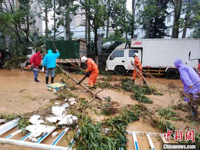 3月23日午间，江西省定南县遭受暴风、大雨、冰雹袭击，定南县城最大风力达31.6米/秒，超过11级。图为消防人员在清理倒在道路上的树木。　张睿 摄